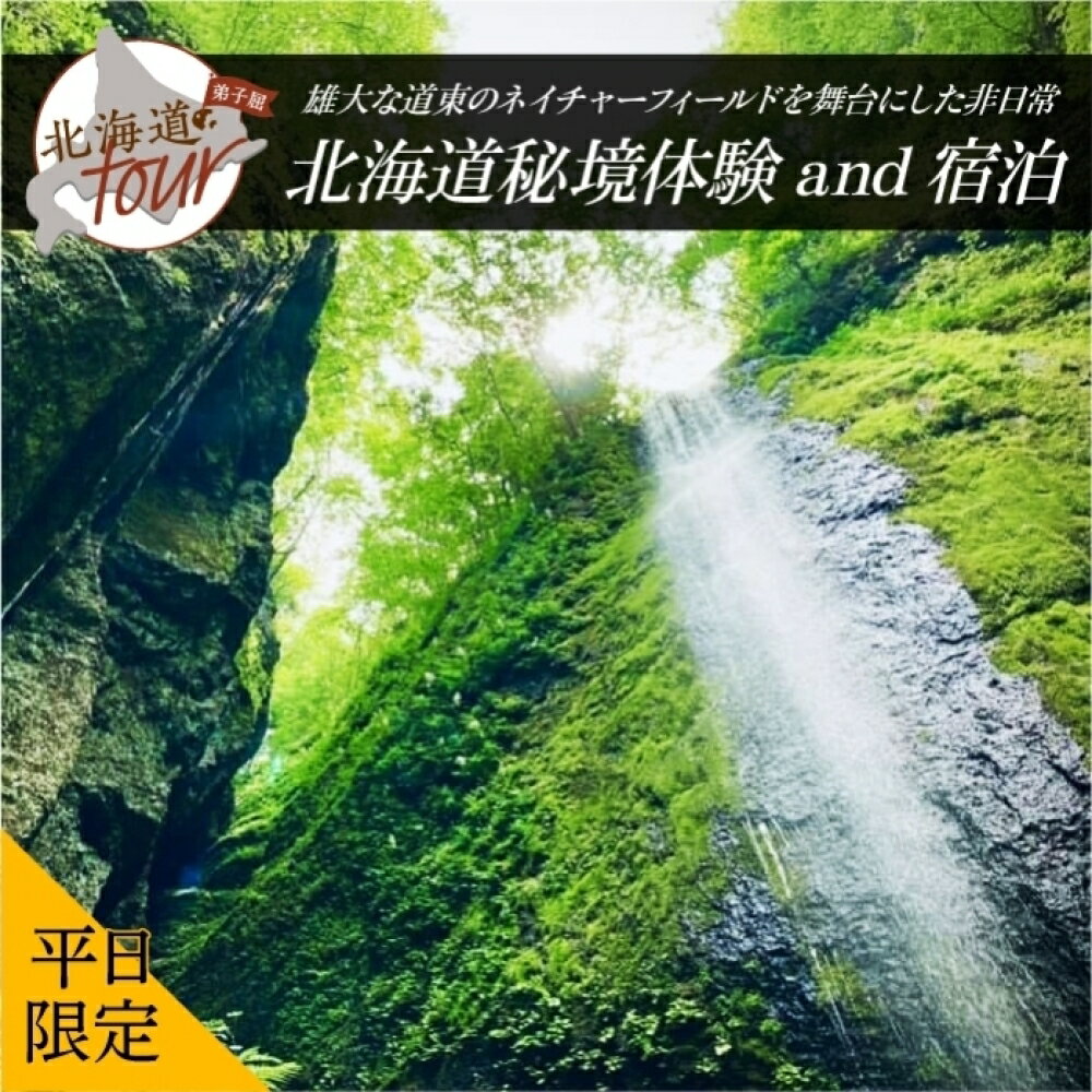 【ふるさと納税】【北海道ツアー】274. 北海道アドベンチャー秘境体験 × 宿泊セットプラン（90,000円分）弟子屈町 宿泊券 旅行券 旅行チケット【1泊2日×2名分】【オールシーズン】【平日プラン】