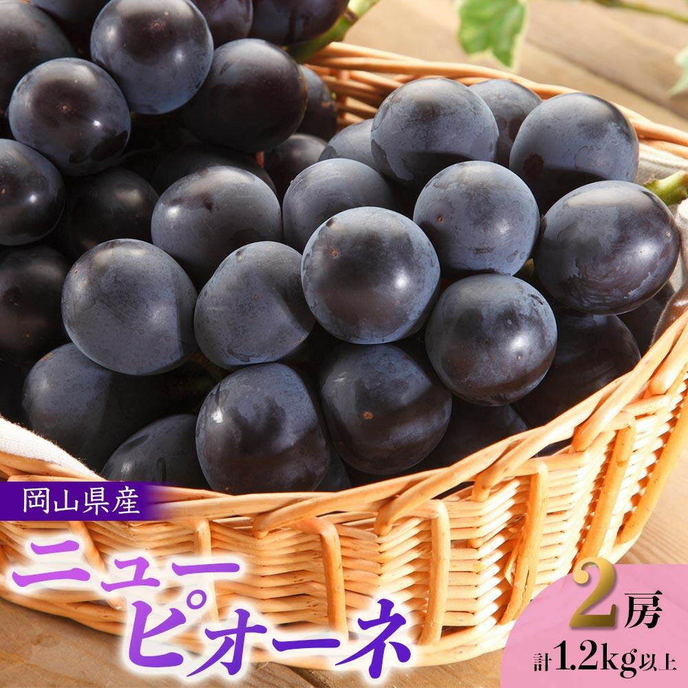 【ふるさと納税】【内容量が選べる】ぶどう 2026年 岡山県産 ニューピオーネ 2房 計1.2kg以上又は4房 計2kg以上 | フルーツ 果物 くだもの 食品 人気 おすすめ 送料無料