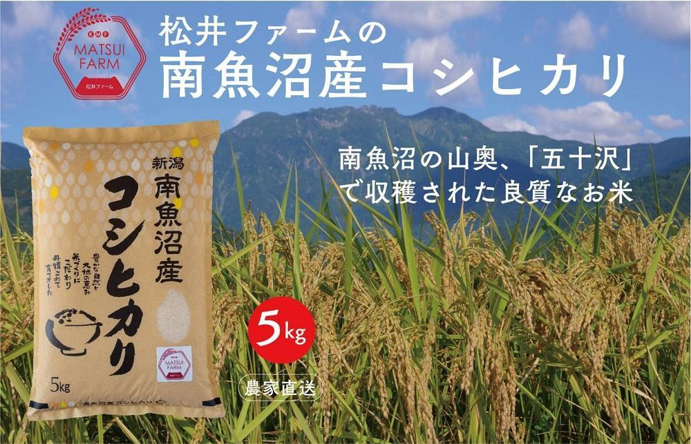 
令和6年産【定期便】南魚沼産コシヒカリ（5kg×12回)
