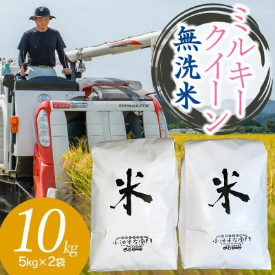ふるさと納税 鶴岡市 【令和8年産】山形県庄内産 小池半左衛門のお米 ミルキークイーン 無洗米 5kg×2袋 計10kg
