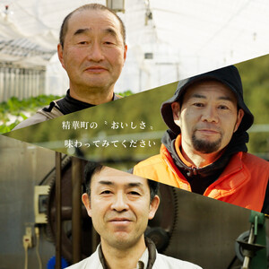 【和のフルーツ大福】 抹茶パフェ大福4個
