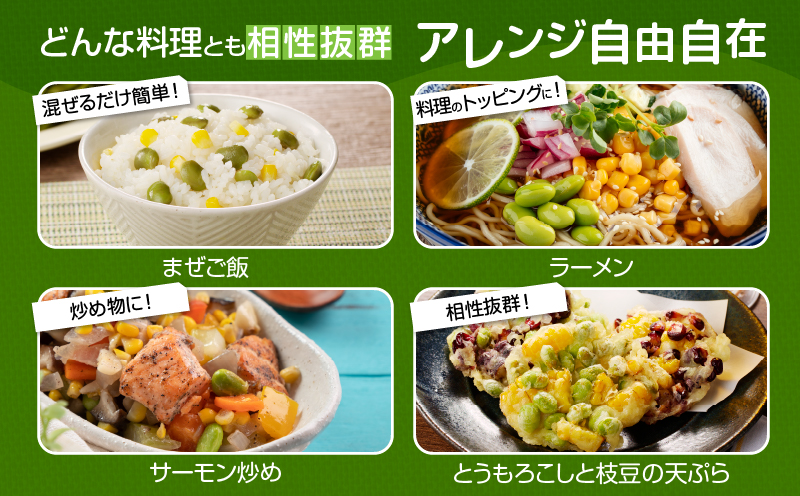 先行予約≪期間限定≫枝豆(茶豆風味・茶豆)計3kg 野菜 旬 国産_T003-0065