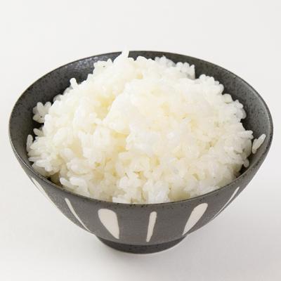 ふるさと納税 磐田市 静岡県磐田産コシヒカリ(精米)5kg×2袋 |  | 02