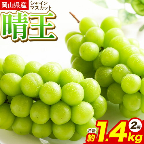 【ふるさと納税】シャインマスカット 岡山県産シャインマスカット晴王 約1.4kg(2房) 株式会社あいたいよう 《9月上旬-9月下旬頃出荷》岡山県 備前市 シャインマスカット 晴王 ぶどう