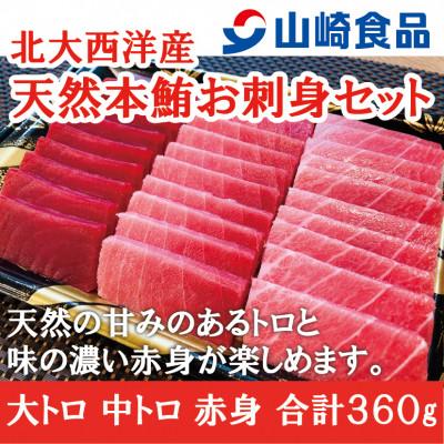 ふるさと納税 十日町市 山崎食品の北大西洋産　天然本鮪お刺身セット(大トロ・中トロ・赤身)360g　　　