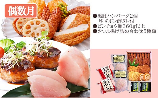 定期便(2回配送)枕崎お楽しみ便(黒毛和牛・まぐろ・手作りハンバーグ・さつまあげ等)DD-6002【1166747】 _ 肉 お肉 牛肉 焼肉 切り落とし すき焼き すきやき 鰹 かつお かつおたたき