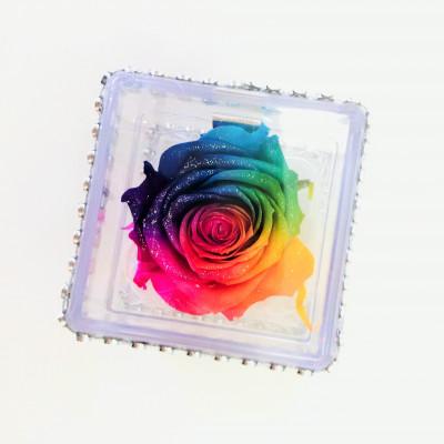 ふるさと納税 中央市 プリザーブドフラワー レインボーローズ クリアケース ミニサイズ 花言葉「奇跡」「無限の可能性」 |  | 03
