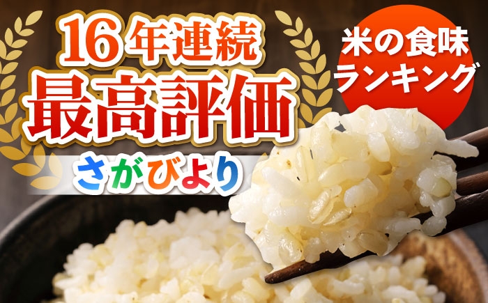 さがびより 玄米 10kg ( 5kg×2袋 ) 【ひなたむらのお米】 [HAC003]米 佐賀 佐賀県産 特A評価 玄米