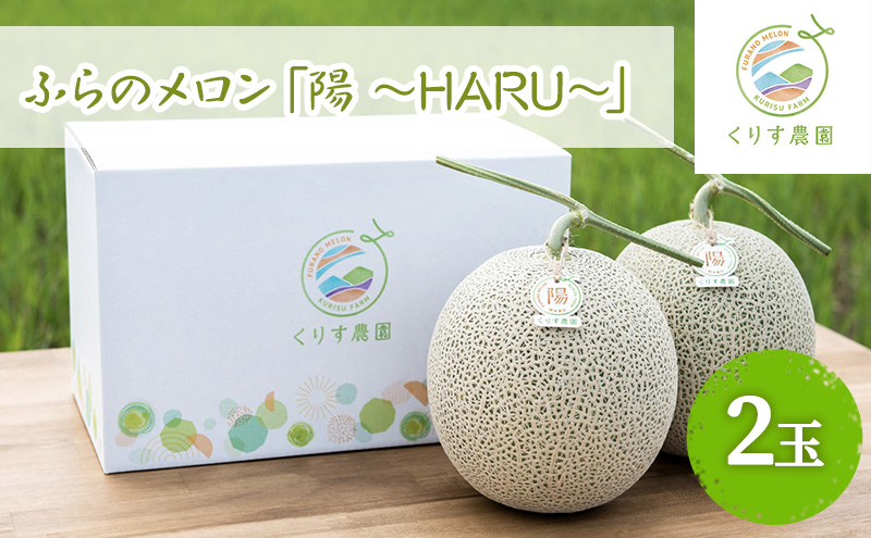 【2025年7月上旬より順次発送】ふらのメロン「陽 ～HARU～」大玉(2.3kg以上)×2玉 ( 赤肉 )( くりす農園 )