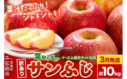 【26年3月クール便発送】りんご【訳あり】葉取らず サンふじ 約10kg 糖度 13度以上 EMりんご