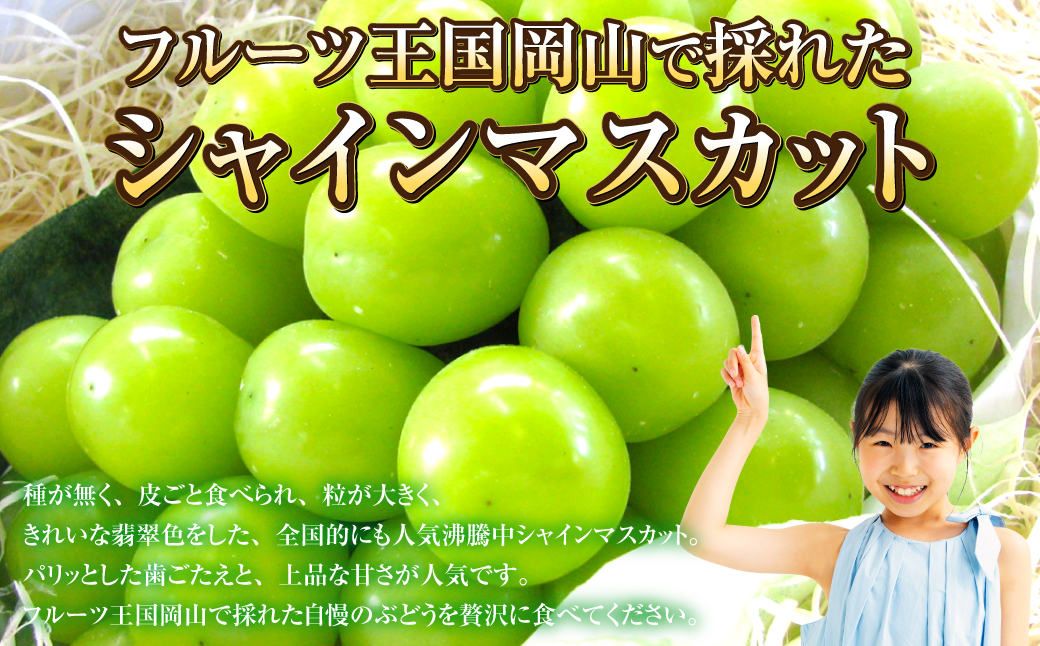 岡山県産 シャインマスカット 晴王 1房 約600g 【2024年8月下旬～10月上旬迄発送予定】 岡山 大粒 たねなし マスカット 果物 くだもの フルーツ ぶどう ブドウ 葡萄 人気