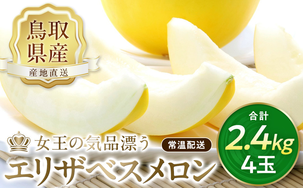 数量限定 鳥取県産 エリザベスメロン 4玉（2.4kg）