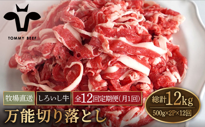 【牧場直送】【12回定期便】佐賀県産しろいし牛 万能切落し  1kg（500g×2パック） 【有限会社佐賀セントラル牧場】 [IAH135]