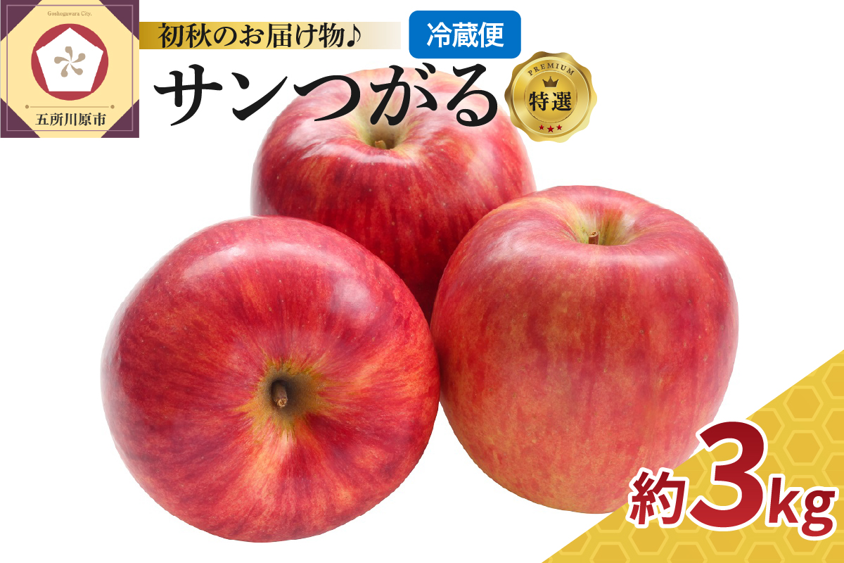 【2026年9月発送】【特選】りんご 約3kg サンつがる 青森県産【クール便】