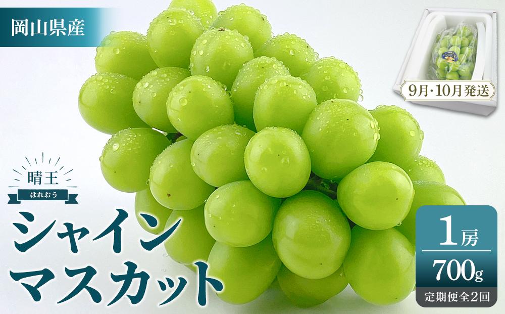 2025年　先行予約　受付中　シャインマスカット　晴王　１房　約700g　２回　定期便　9月・10月に1回ずつ発送　【岡山県産 種無し 皮ごと食べる みずみずしい 甘い フレッシュ 9月～10月発送 晴れの国 おかやま ぶどう 葡萄 マスカット 果物大国 彩美菜果 岡山県 岡山市 おすすめ 人気】