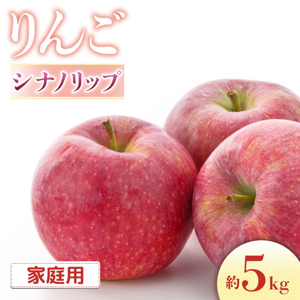 【ふるさと納税】りんご シナノリップ＜ご家庭用＞【16～20玉】※2025年8月中旬～9月中旬発送※