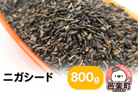 ニガシード 800g×1袋 サイトウ・コーポレーション 飼料