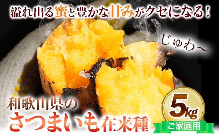 和歌山県の さつまいも 訳ありご家庭用 5kg 在来種《12月中旬‐5月上旬頃出荷》和歌山県 日高川町 みはらファーム さつま芋 薩摩芋---wshg_mhr14_12c5j_26_10000_5kg---