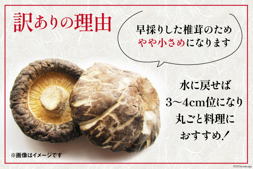 訳あり しいたけ 宮崎県産 乾燥 椎茸 芽どんこ 120g ×3p 計 360g チャック袋入 [岡田商店 宮崎県 美郷町 31ac0064] 小分け 乾燥椎茸 乾燥しいたけ どんこ_イメージ2