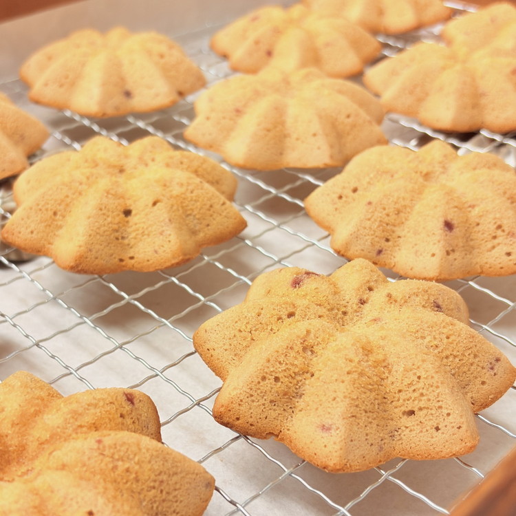 無添加クッキー缶と無添加マドレーヌの6点セット《食品添加物不使用》