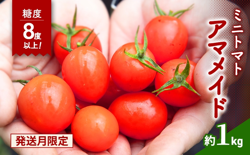 
            【農家さん一押し】ミニトマト1kg【2026年5月6月出荷】アマメイド糖度8度以上[№5385-1111]
          
