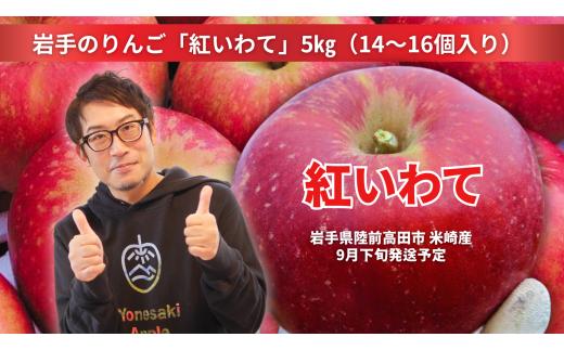 先行予約 【奇跡の果実】 米崎りんご 紅いわて 5kg 【 リンゴ 岩手県オリジナル品種 旬 新鮮 お届け 岩手 陸前高田 】2025年9月下旬以降発送予定 RT2546