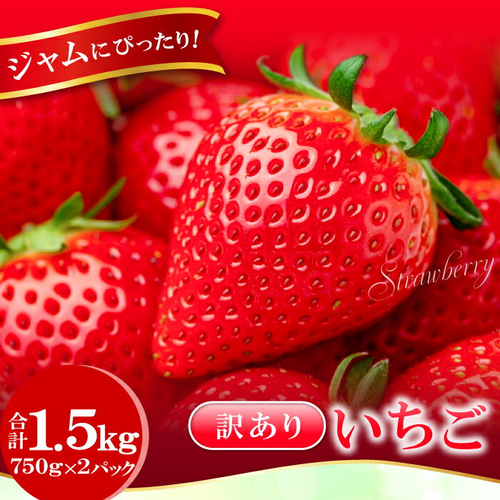 【ふるさと納税】 訳あり いちご（750g×2パック） ジャムにぴったり 果物 フルーツ 苺 いちご イチゴ 不揃い わけあり 1.5kg 冷蔵 期間限定 季節限定
