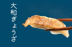 【ふるさと納税】 餃子 大和ぎょうざ 1パック(15個入)×4 計60個 冷凍 小分け おつまみ ヤマトポーク 大和野菜 ギョーザ 餃子 焼き餃子 豚肉 お肉 肉 惣菜 宅飲み お弁当 奈良県 奈良市