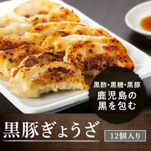 【A02046】黒豚餃子セット(12個入×10パック) 鹿児島 国産 九州産 自家農場 黒豚 黒ぶた 豚肉 冷凍 餃子 ギョーザ ぎょうざ おかず 惣菜【和田養豚】