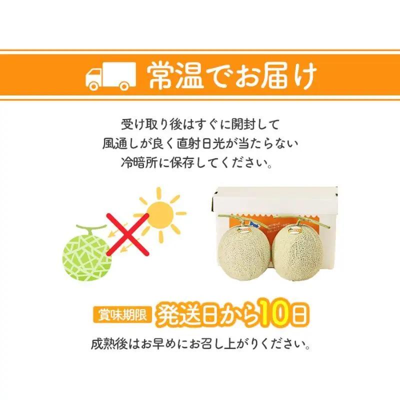 【2026年夏発送】北海道 富良野 メロン 3Lサイズ 2玉 計約4kg フルーツ 果物