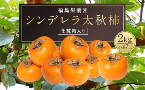 シンデレラ 太秋柿 化粧箱入り 小玉 7玉 約2kg 　【2026年11月上旬-2027年1月上旬発送予定】