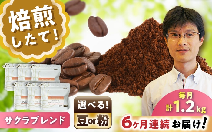 
            【全6回定期便】【選べる豆 or 粉】ブレンドコーヒー サクラブレンド 200g×6個 / 珈琲 コーヒー / 瀬戸市 / Ｃｏｆｆｅｅ　ＳＡＫＵＲＡ [BBAB120]
          
