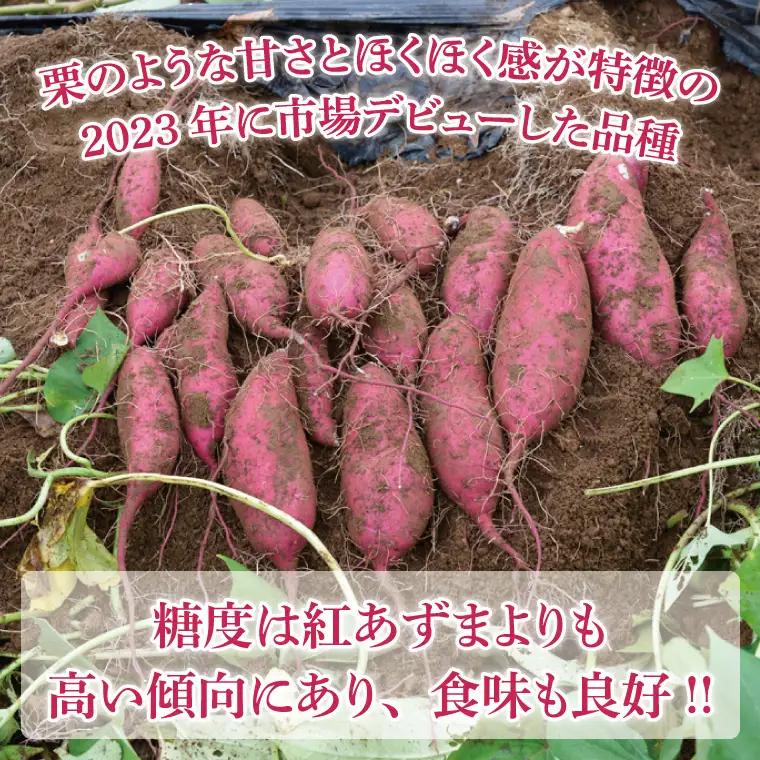 さつまいも 6kg 栗かぐや 益子町 AU016