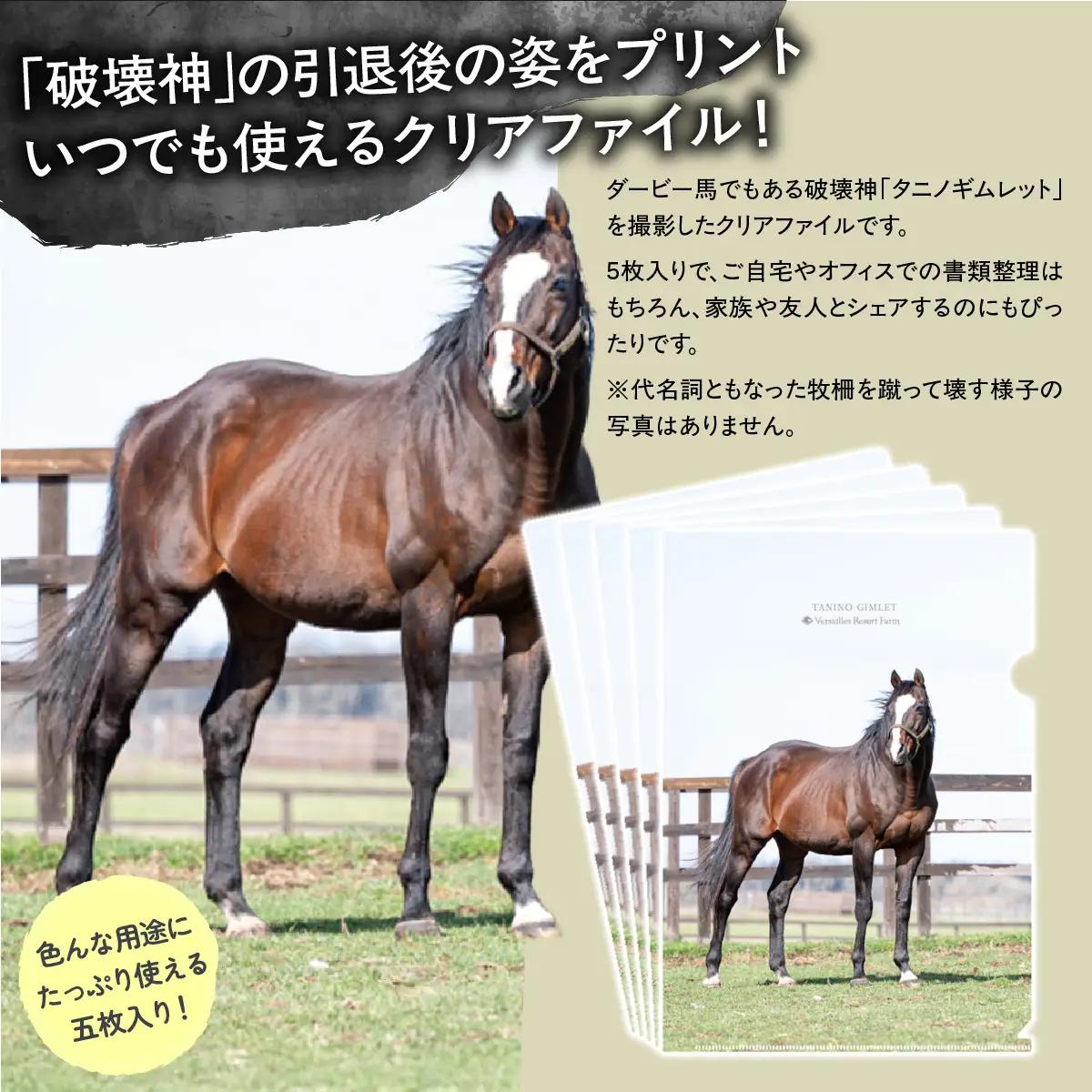 【破壊神タニノギムレット】クリアファイル5枚入り BRTV112