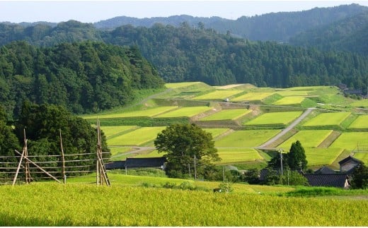 神子原地区の棚田の風景