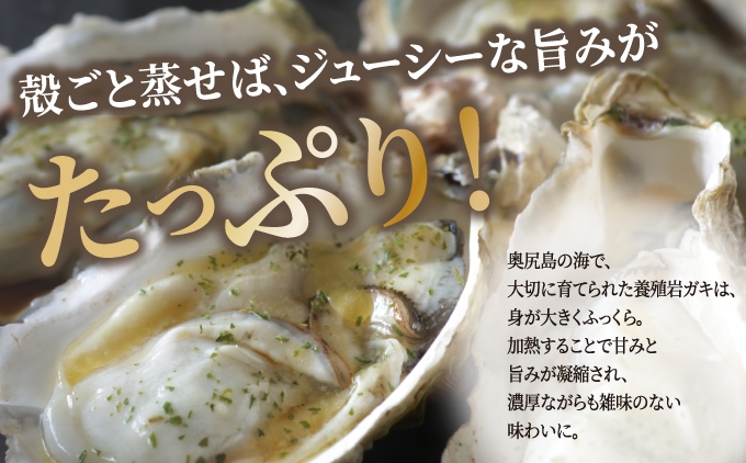 北海道の離島奥尻島産で大切に養殖岩ガキは身が大きくふっくら！加熱することで甘みが増します。 | 北海道 奥尻町 ふるさと納税