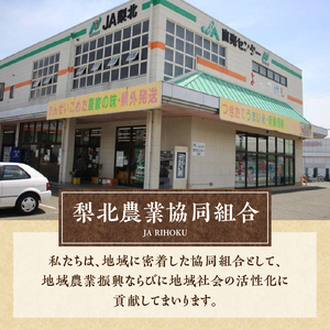 【令和7年度米】【6ヶ月定期便】JA梨北米（精米）10kg おまかせ銘柄 梨北信玄米コシヒカリ 武川コシヒカリ 農林48号 コシヒカリ 山梨県産 つやひめ 甘み 粘り 山梨最大の米処 北杜市武川町産 