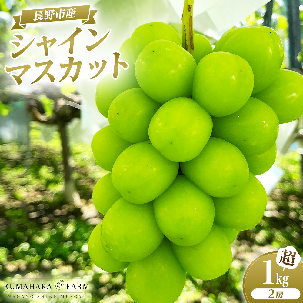 【ふるさと納税】長野市シャインマスカット　1kg以上