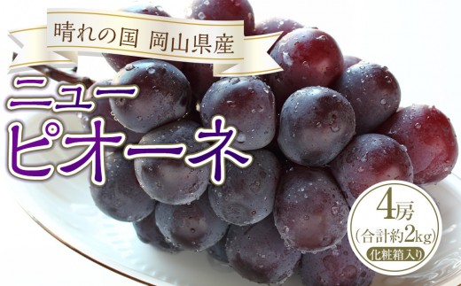 ぶどう 2026年 ニュー ピオーネ 4房（合計約2kg） ブドウ 葡萄  岡山県産 国産 フルーツ 果物 ギフト