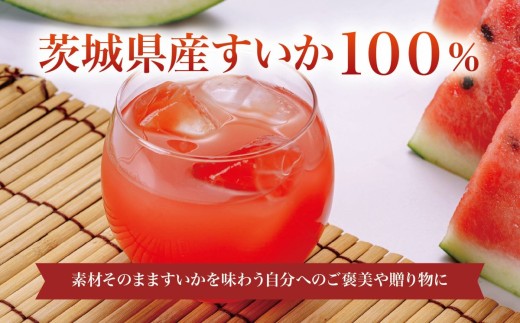 すいかジュース 100g × 60P 冷凍 すいか スイカ ジュース 冷凍ジュース アイス シャーベット 国産すいか 西瓜ジュース 100％ジュース 西瓜 飲料 ドリンク フルーツジュース 無添加 茨