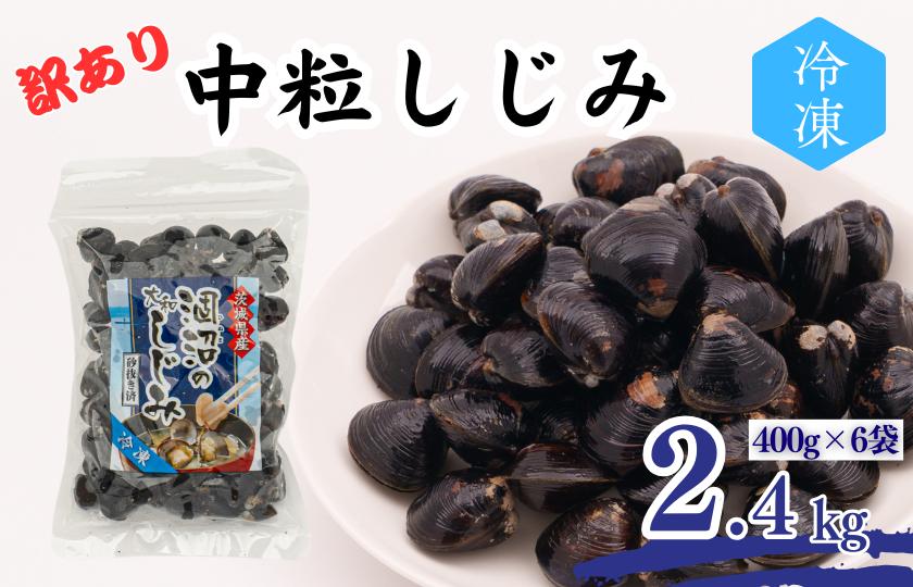 
            訳あり 涸沼産 中粒しじみ （2.4kg）
          