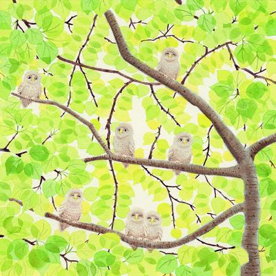 ふるさと納税 川口市 栗乃木ハルミ版画額装品「7owlets」 |  | 01