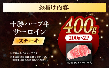 北海道 十勝 ハーブ牛  サーロインステーキ 400g（200g×2） 《足寄町》【株式会社ノベルズ食品】[BEAQ047]