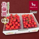 【ふるさと納税】さくらんぼ 佐藤錦 1kg 特秀品 Lサイズ バラ詰め 化粧箱入り フルーツ 果物 お取り寄せグルメ 冷蔵配送 山形県 上山市 0106-2501