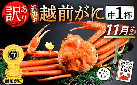 【訳あり】≪浜茹で≫指折れ 越前がに（中） × 1杯 【11月発送分】 食べ方しおり かにスプーン付き【雄 ズワイガニ ずわいがに 越前ガニ 姿 ボイル 冷蔵 福井県】希望日指定可 備考欄に希望日をご記入ください [e15-x003_11]