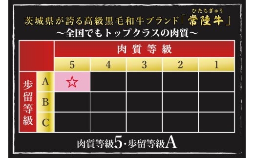 【6ヶ月定期便】【常陸牛 A5ランク・ローズポークステーキセット】常陸牛サーロインステーキ200g＋ローズポークロースステーキ280g（140g×２枚） 冷凍 国産牛 和牛 牛肉 豚肉　ブランド豚 茨