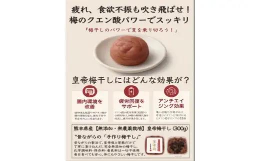＜ R8年熊本地震復興支援 ＞熊本県産 皇帝梅干 300g × 1個 梅干し 梅 梅干 しそ 漬物 手作り ご飯のお供 和食 保存食 クエン酸 国産