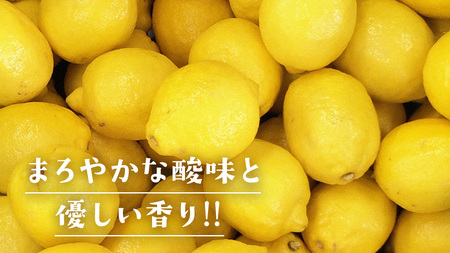 大崎上島産 有機レモン 3kg （目安25〜30個程度）