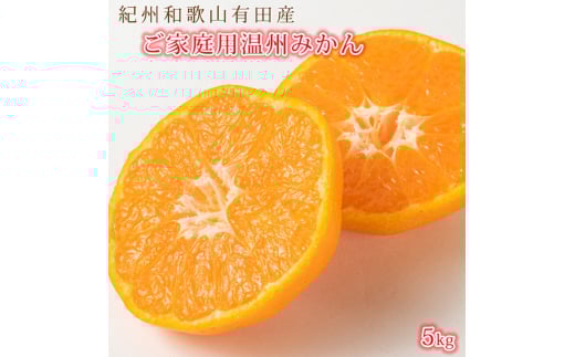 ［ご家庭用訳アリ］紀州有田産濃厚完熟温州みかん 約5kg ［2025年11月下旬以降発送 先行予約 ］［UT13］【uot003】