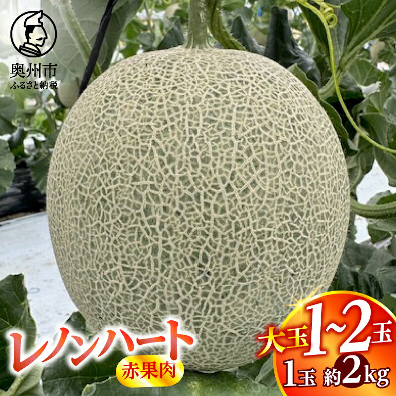 【ふるさと納税】 レノンハート(赤果肉) 大玉 1個/2個【数量限定】 2kg前後 特大サイズ 食べごたえ抜群 果物 フルーツ デザート 贈答 ギフト 江刺産 [CL002]
